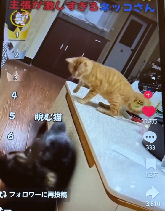 いいねを行う画面