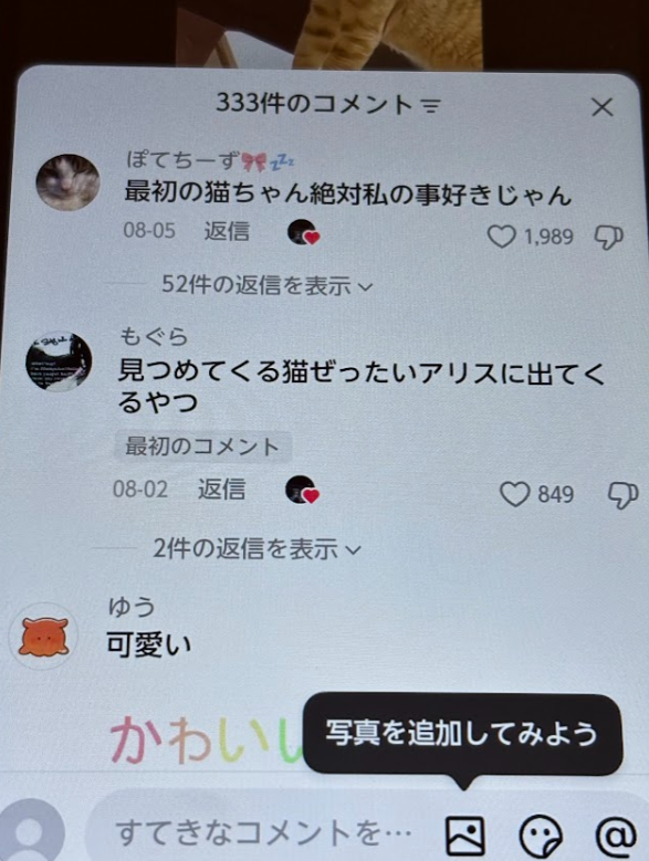 コメントを行う画面