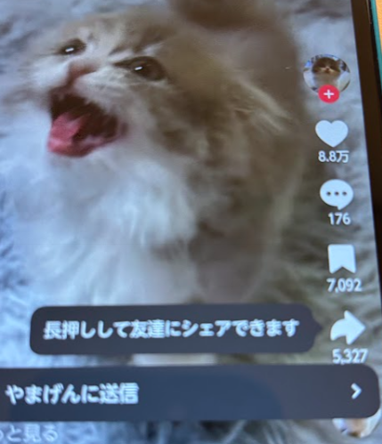 リポストを行う画面